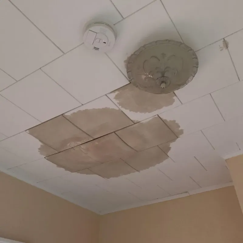 Ceiling Water Damage Repair in East Farmingdale, NY